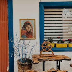 pexels-photo-28675782